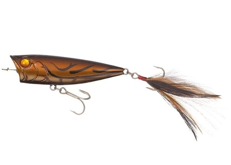 Popper Evergreen One's Bug