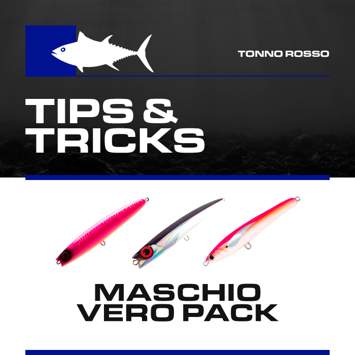 Box Tonno  Boscolo Sport "Tips & Tricks"  Maschio Vero Pack