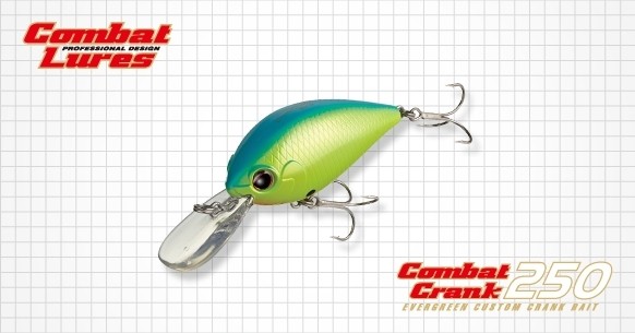 Medium Crankbait Evergreen Combat Crank 250