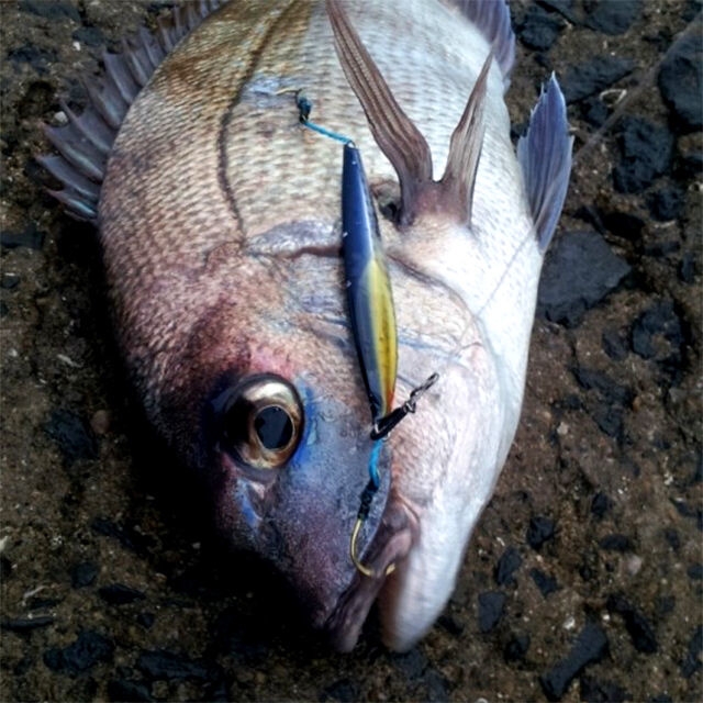 Metal Jig Damiki Balhae 14.0 Gr