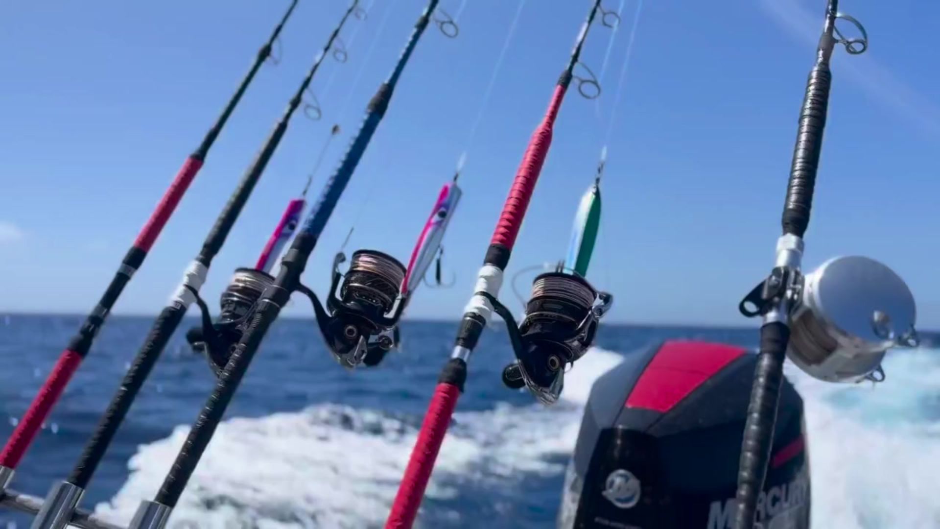 Canna Cb One Monsta Tuna