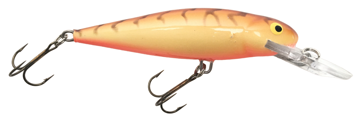 Minnow Salmo Roach 9 cm 16 g Floating col. CW