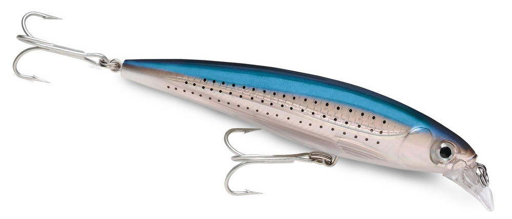Jerkbait Rapala X-Rap Saltwater 10 cm 