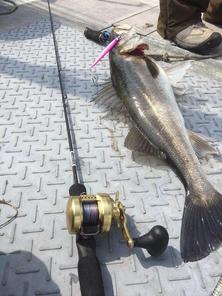 Metal Jig Cb One F1 100 g