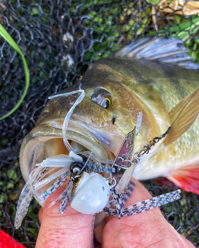 Wirebaits Z-Man Chatterbait Freedom CFL 3/8 oz