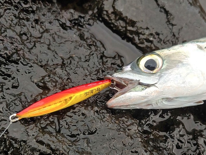 Metal Jig Damiki Balhae 7.0gr 