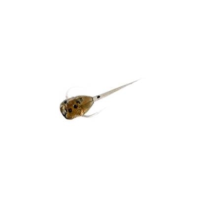 Softbait 13 Fishing Paralyzer 2.5 cm col. Whiskey Sour