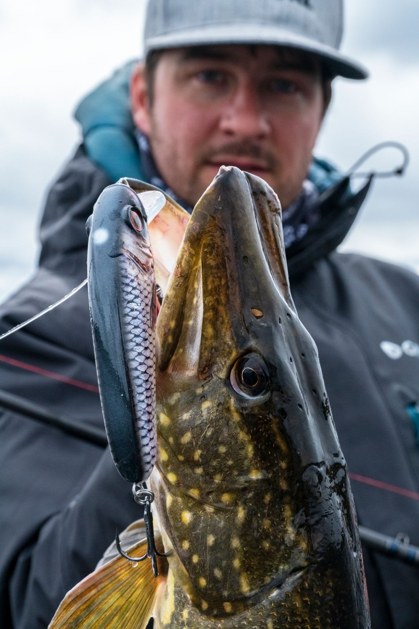 Minnow Abu Garcia Svartzonker Mc Celly 70
