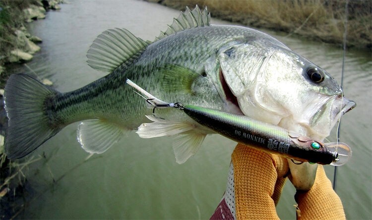 Jerkbait Damiki Tokon Minnow 90 SF