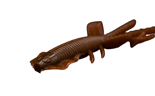 Creatura Galapagos Empelbug