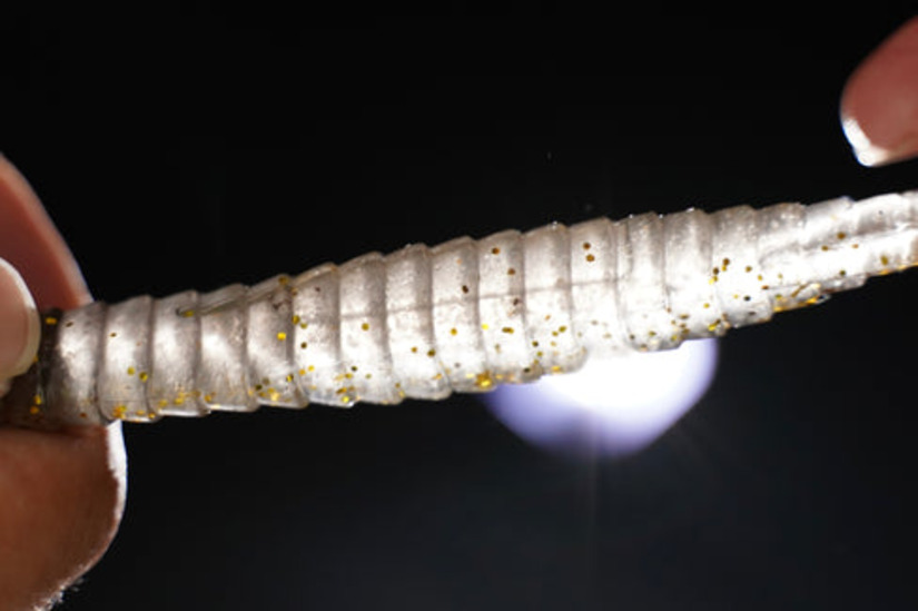 Soft Minnow Galapagos Zegrashad 5.8"