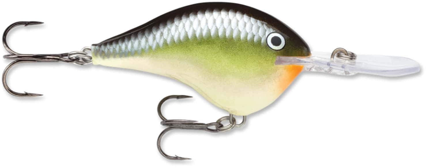 Crankbait Rapala Dives To 06