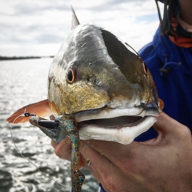 Swimming Shad Z-Man Scented Paddlerz 5"