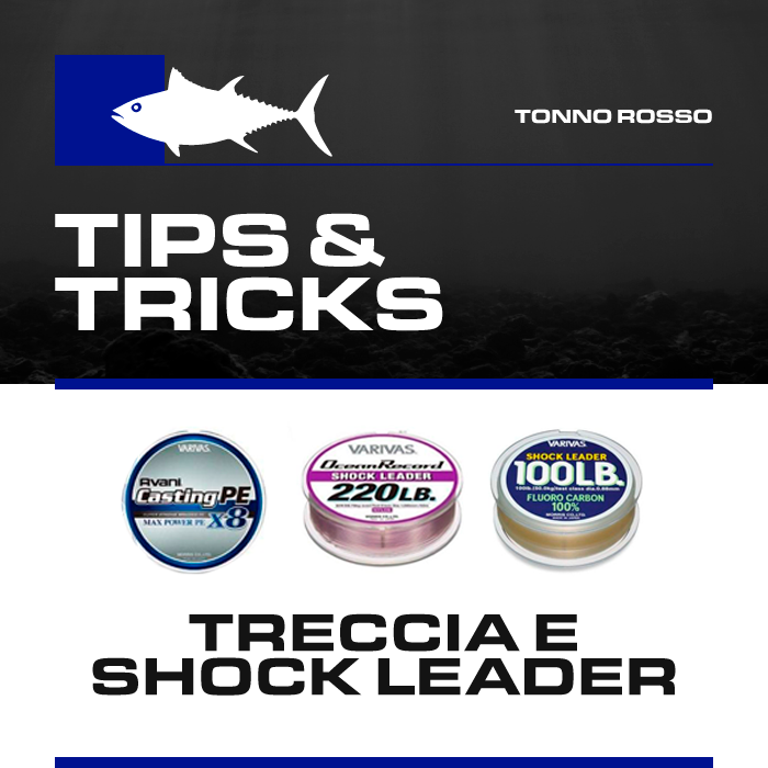 Box Tonno Boscolo Sport "Tips & Tricks" Treccia e Shock Leader