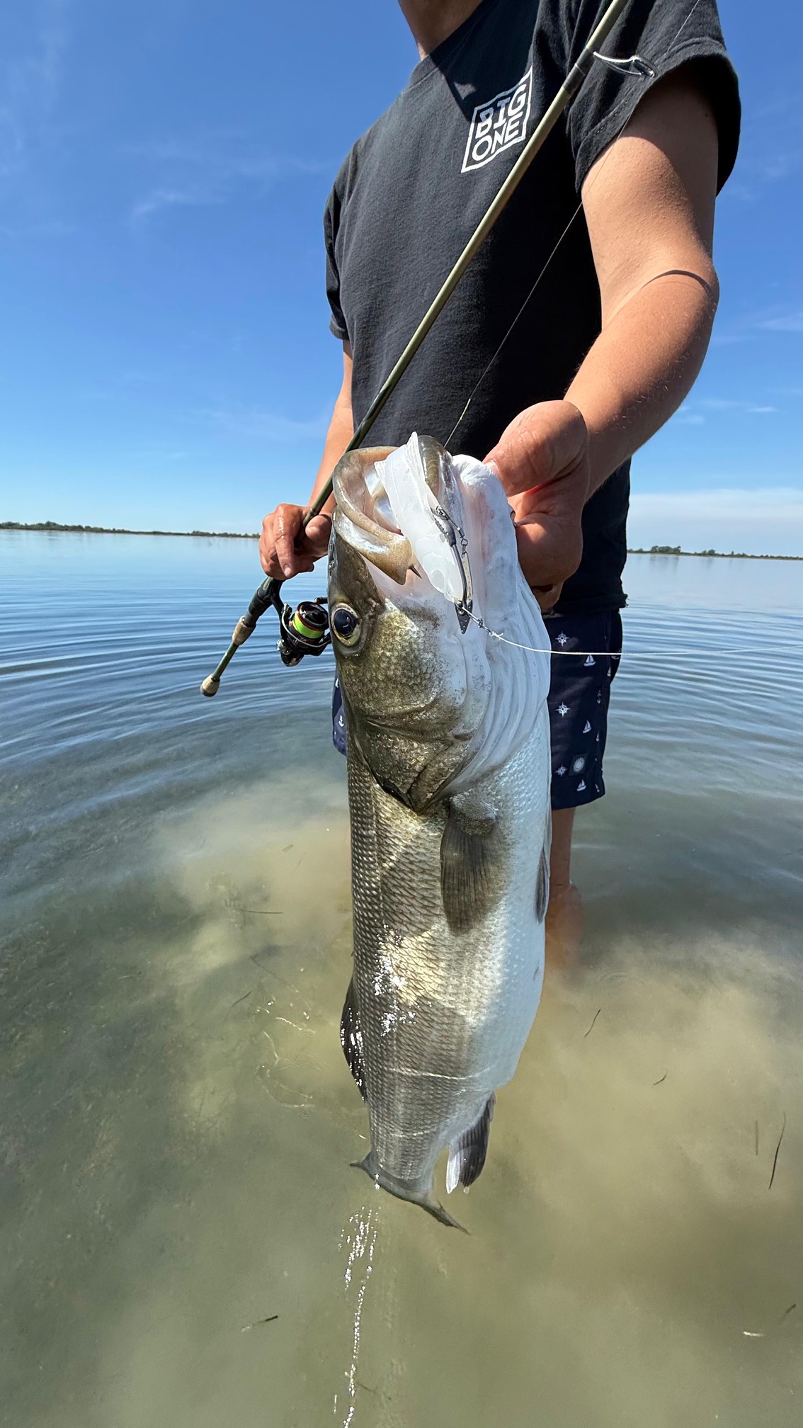 Soft Swimbait Veeu Snack Burno 12 cm