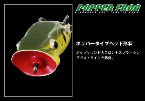 Rana Evergreen Popper Frog