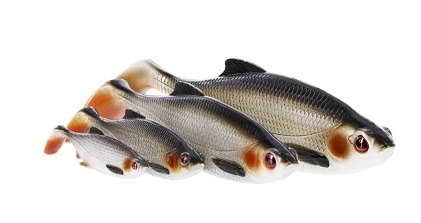 Shad Westin Ricky the Roach Shadtail 10cm