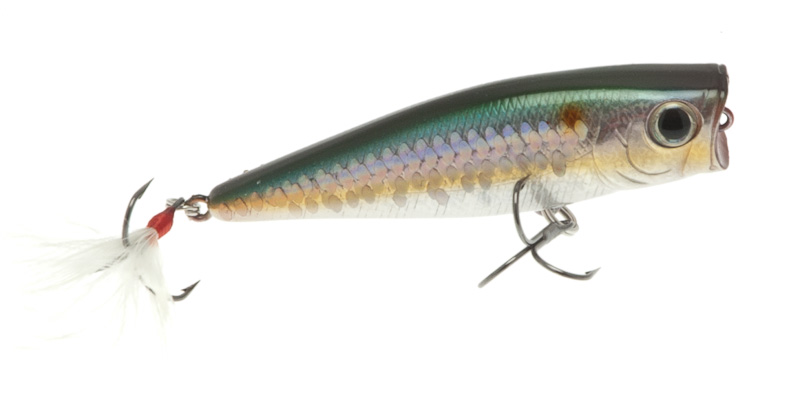 Artificiale Lucky Craft S8 Popper col. American Shad Artificiale Lucky Craft S8 Popper col. American Shad