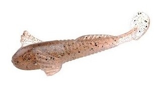 Softbait Spro Shy Goby 100 col. 01 Crystal Sexy Brown Softbait Spro Shy Goby 100 col. 01 Crystal Sexy Brown