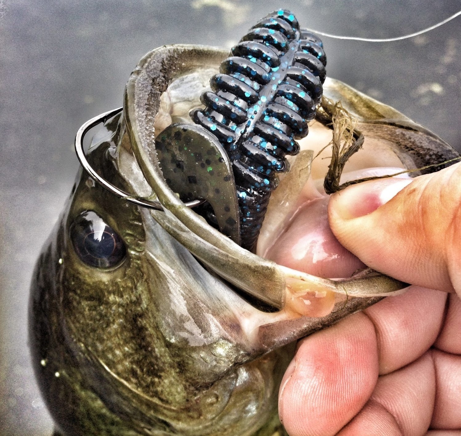 Creatura Netbait Kickin B. 4”