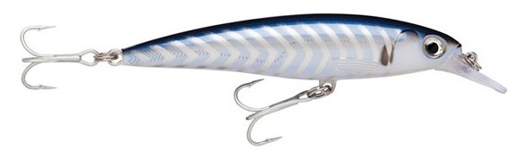 Jerkbait Rapala X-Rap Saltwater 12cm 