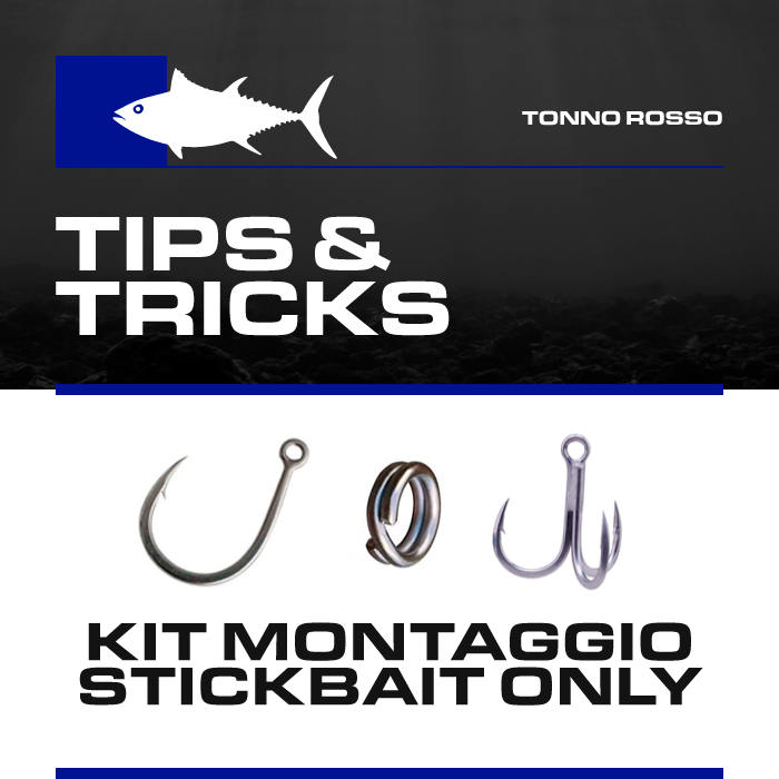 Box Tonno Boscolo Sport "Tips & Tricks" Kit Montaggio Stickbait Only