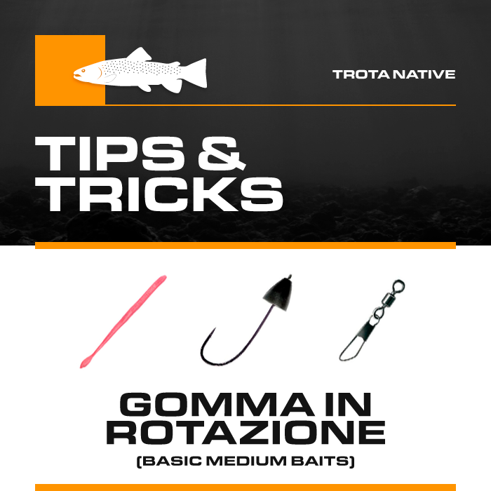 Basic Box Trota Boscolo Sport Gomma in rotazione (Medium Baits) 