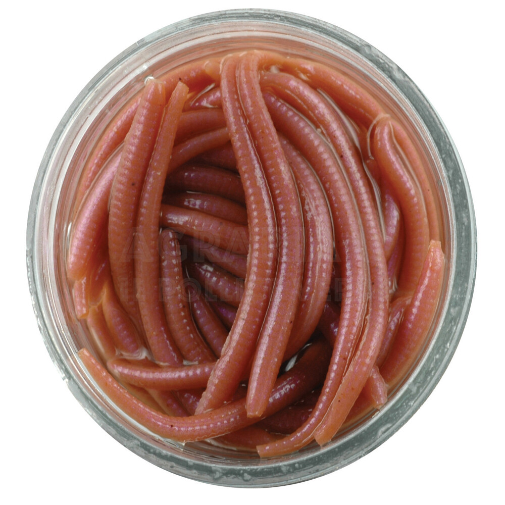 Verme Berkley Gulp! Alive! Angle Worm col. Natural Verme Berkley Gulp! Alive! Angle Worm col. Natural