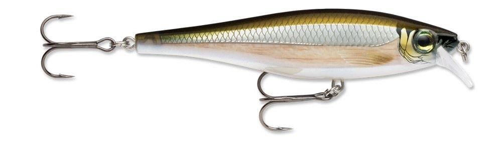 Artificiale Rapala BX Minnow 10 cm