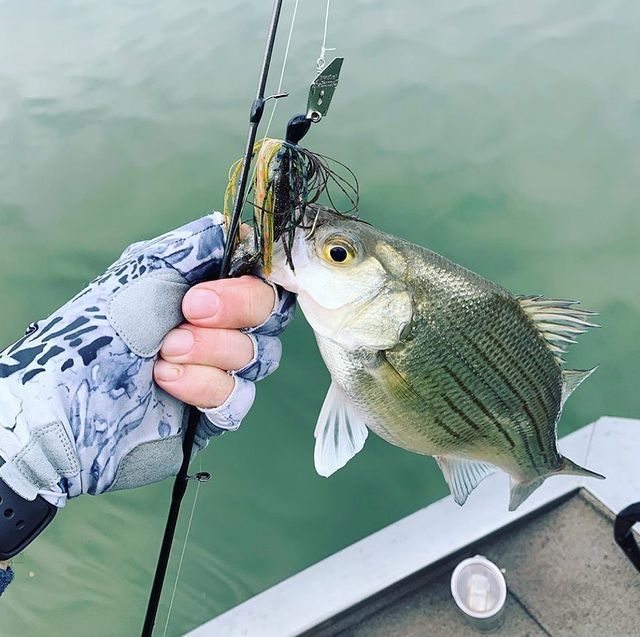 Wirebaits Z-Man The Original Chatterbait 1/2 oz