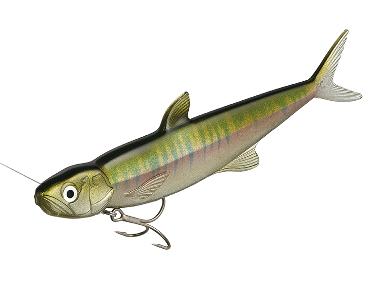 Soft Swimbait Evergreen Last Ace 168