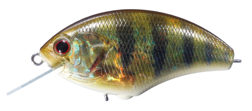 Crankbait OSP Blitz Max 11/25 oz (12,5 gr) 61 mm col. RPO69 – Real P Crankbait OSP Blitz Max 11/25 oz (12,5 gr) 61 mm col. RPO69 – Real P