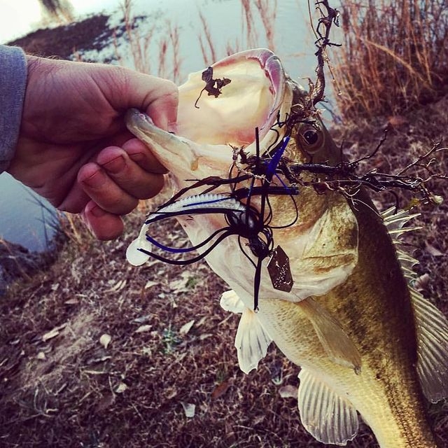 Wirebaits Z-Man The Original Chatterbait 1/2 oz