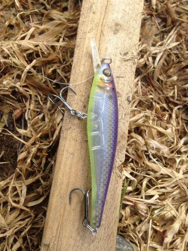 Jerkbait Berkley Cutter 90+ 