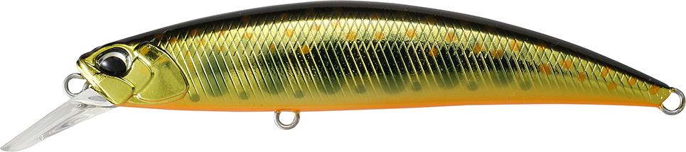 Minnow Duo Ryuki 80S Sinking col. MCC4084 Gold Yamame Minnow Duo Ryuki 80S Sinking col. MCC4084 Gold Yamame