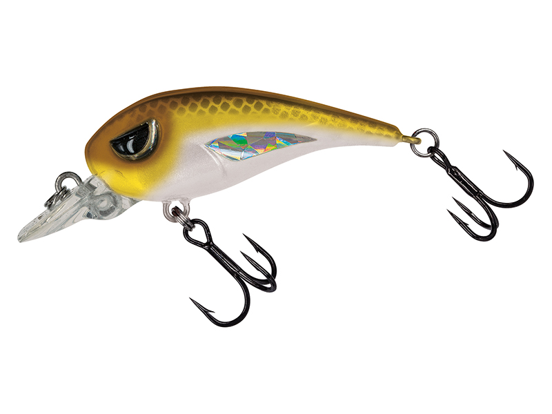 Crankbait Molix FC 45 MR Finesse Crank col. 623 P W Gold Back (Cap)