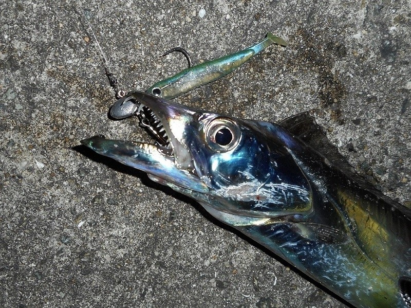 Testa Piombata Decoy Jig Head SV-34 S.G. Head