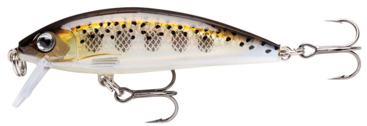 Minnow Rapala X-Rap Countdown 5 cm