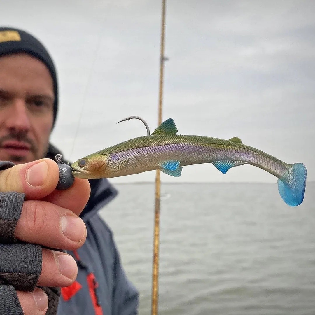 Shad Westin HypoTeez ST 15cm 30g