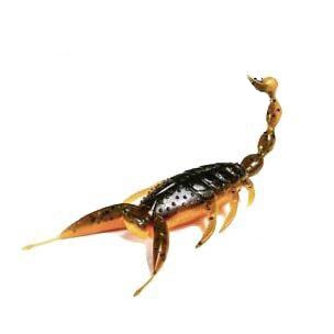 Scorpione Molix SC Bug 4"