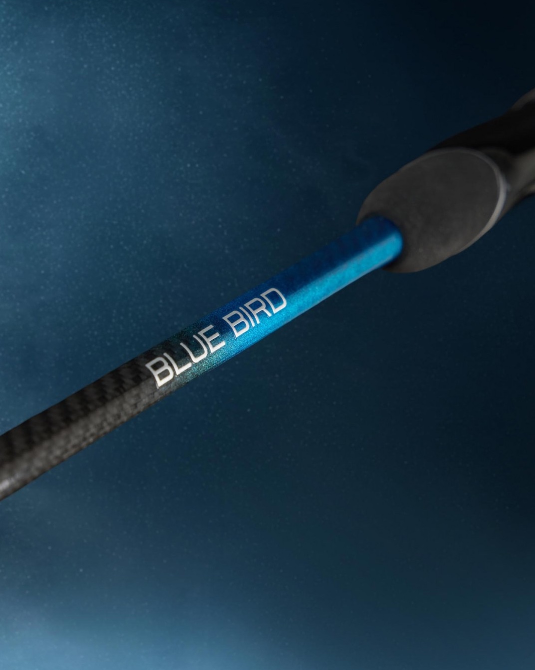 Canna Favorite Blue Bird BB2