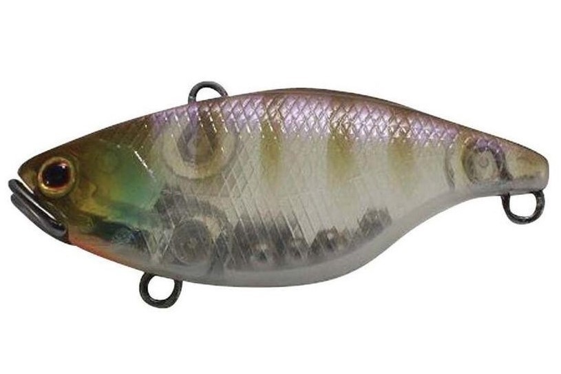 Lipless Crankbait Jackall TN70 col. Ghsot Gill