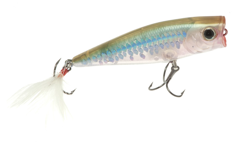 Artificiale Lucky Craft S8 Popper col. Ghost Wakasagi Artificiale Lucky Craft S8 Popper col. Ghost Wakasagi