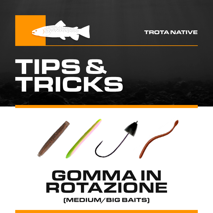 Box Trota Boscolo Sport "Tips & Tricks" Gomma in Rotazione (Medium & Big)