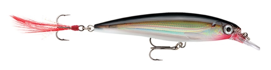 Jerkbait Rapala X-Rap 8 cm col. Silver – XR08S