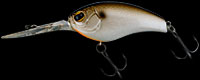 IKE-100 japan serie col.102 Arkansas shiner