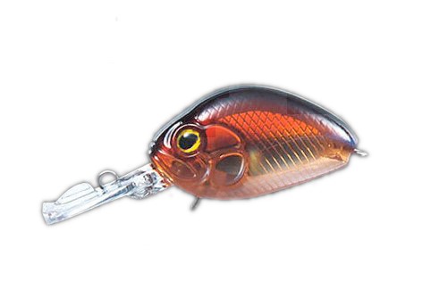 Shallow Crankbait Evergreen Crazy Cradle col. 403 Hlf Skltn Ochiayu