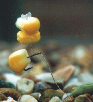 Popup Sweetcorn