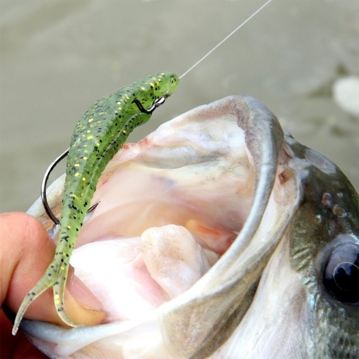 https://www.boscolosport.com/media/3a/51/ab/1633359719/soft_bait_damiki_armor_shad_5_2t_6.jpg