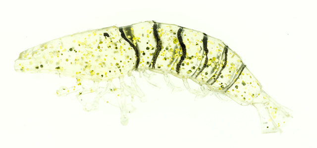 Shrimp 2,5" + wt jig head 4 g.col. Clear gold black flake Shrimp 2,5" + wt jig head 4 g.col. Clear gold black flake